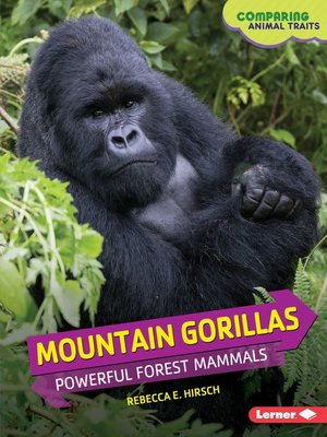 cover image of Mountain Gorillas
